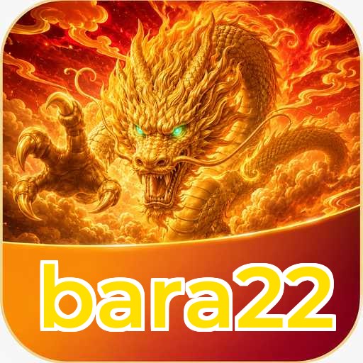 bara22 APK Structure