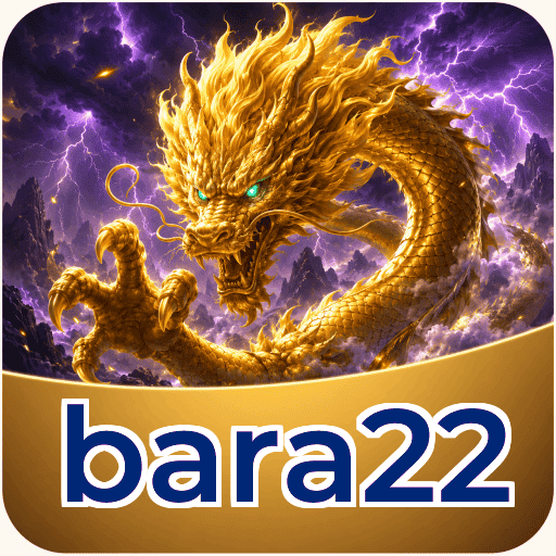 bara22 Components