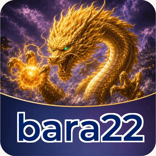 bara22 Features