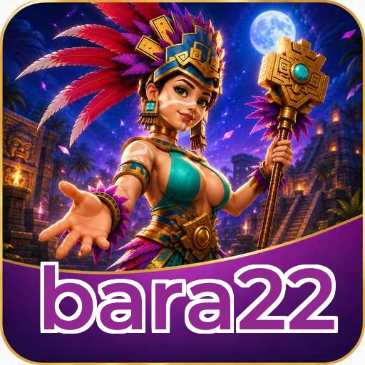 bara22 Installation