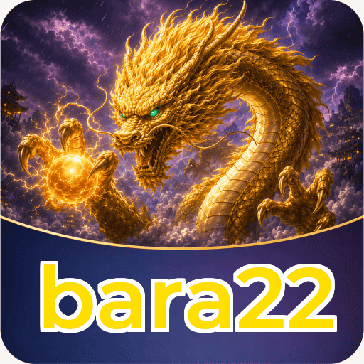 bara22 Technical Info