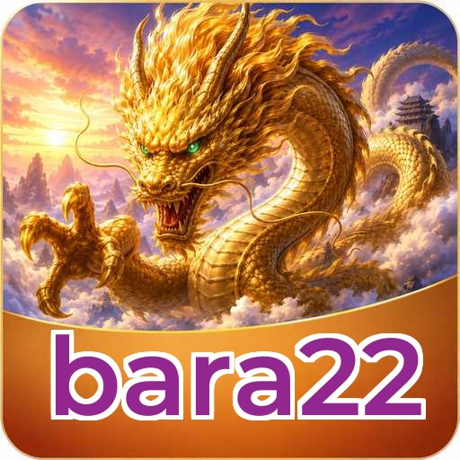 bara22 FAQ
