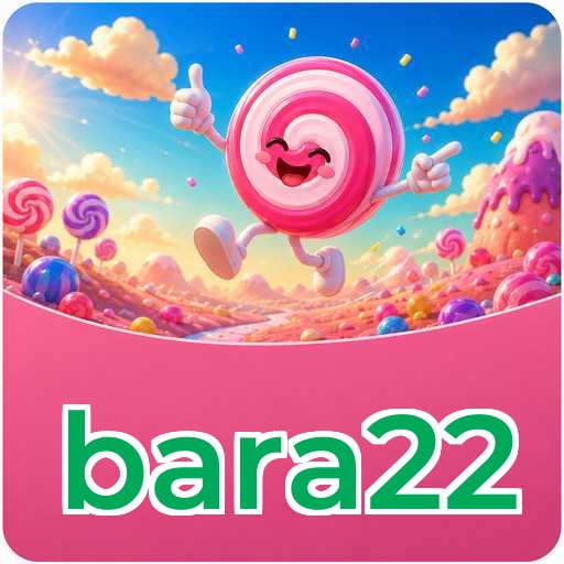 bara22 APK Structure